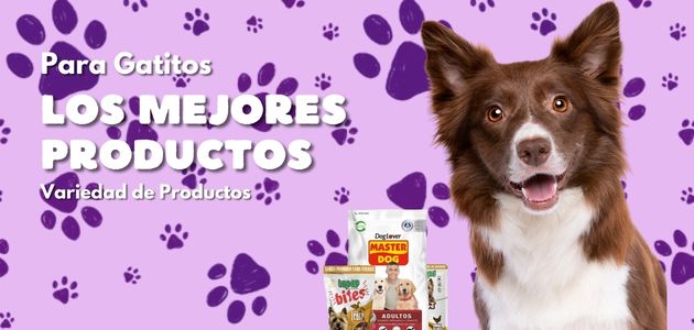Perro marrón sobre fondo morado con huellas y variedad de productos para mascotas al frente.