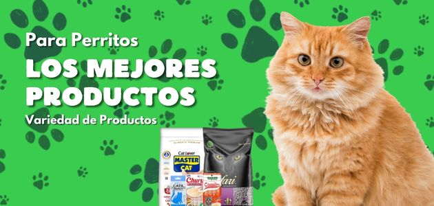 Gato naranja junto a variedad de productos para mascotas sobre fondo verde con huellas de patas.