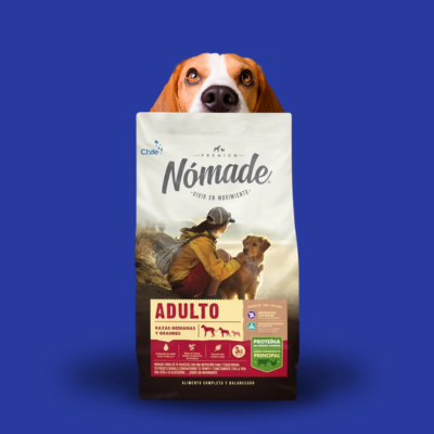 Alimentos