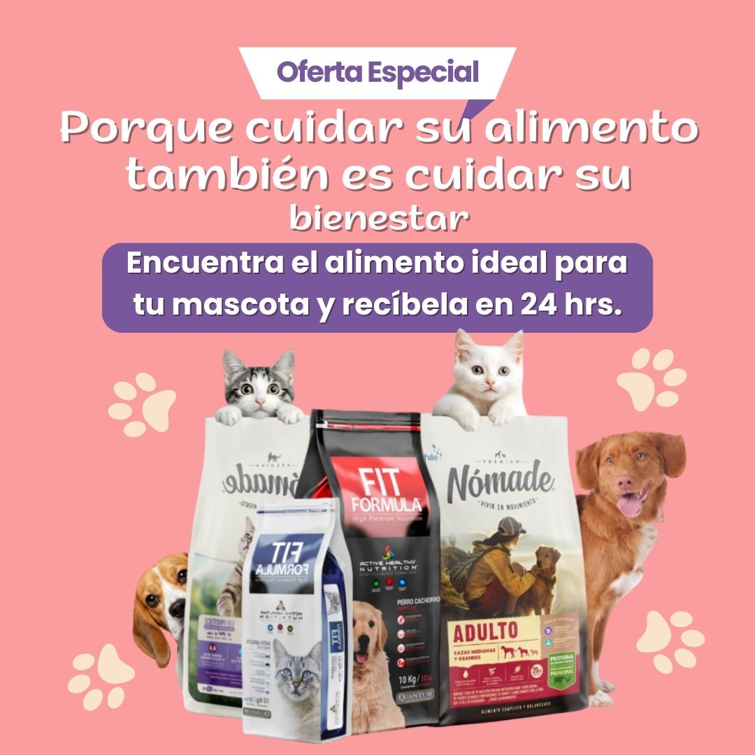 Alimento para perros y gatos en oferta especial, con mascotas y bolsas de croquetas sobre fondo rosa.