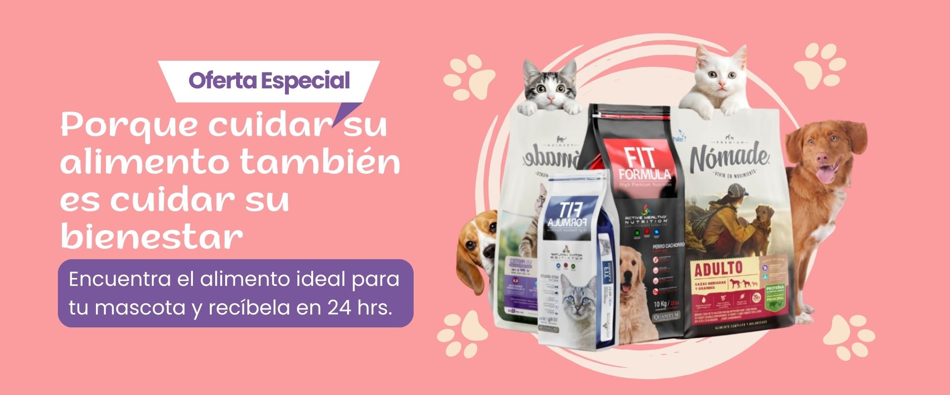 Variedad de alimentos para gatos y perros con imágenes de mascotas sobre fondo rosa
