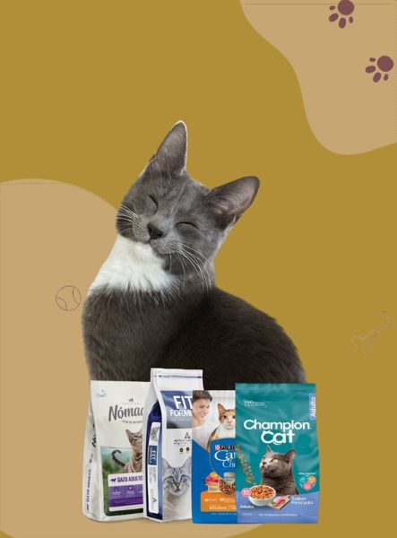 Gato feliz junto a bolsas de alimento para gatos sobre fondo mostaza con huellas.