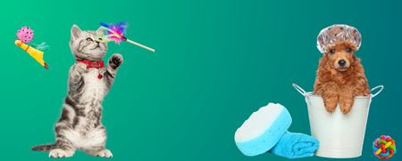 Accesorios para mascotas